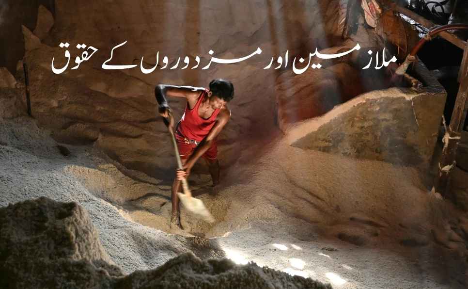Minimum Wages Ordinance 1961, Employee and Labor Rights in Pakistan, Maternity leave entitlements in Pakistan , Employees Old Age Benefits Act 1976, Employment of Children Act 1991
