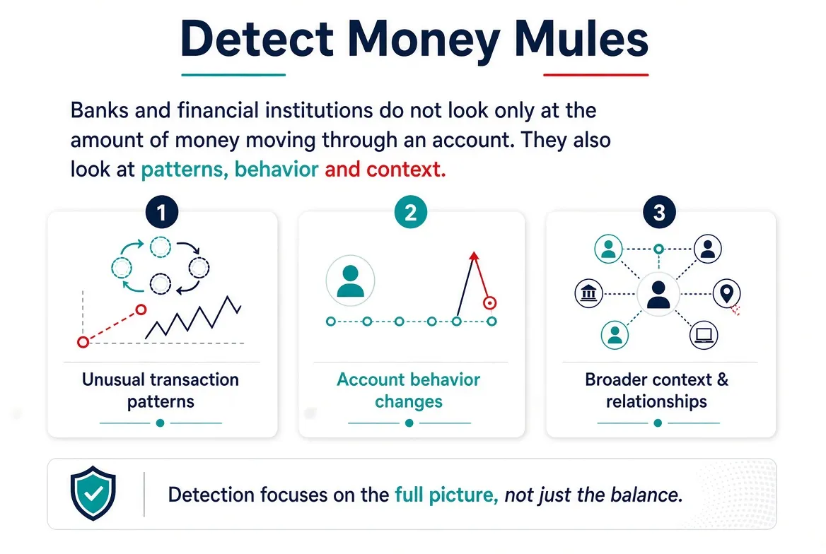 How banks detect money mule accounts and suspicious transaction behavior